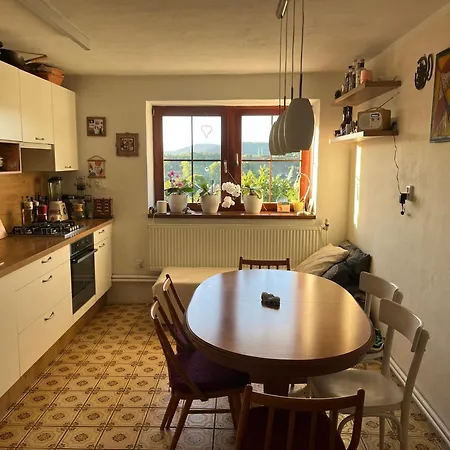 Cat's House- Dum U Trech Kocek Zdice