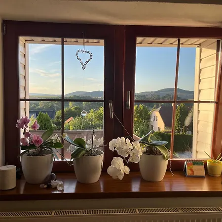Vakantiehuis Cat's House- Dum U Trech Kocek *