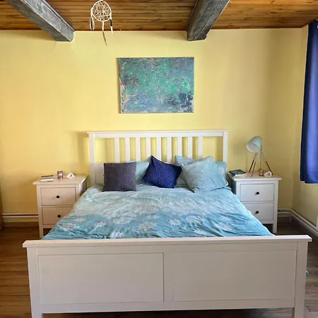 Cat’s House- Dům U Třech Koček *